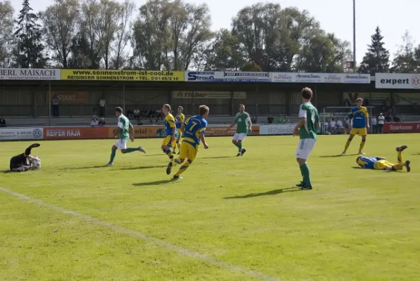 946110924 13.Sp. FC Gundelf. (Fotos G.Raczek)